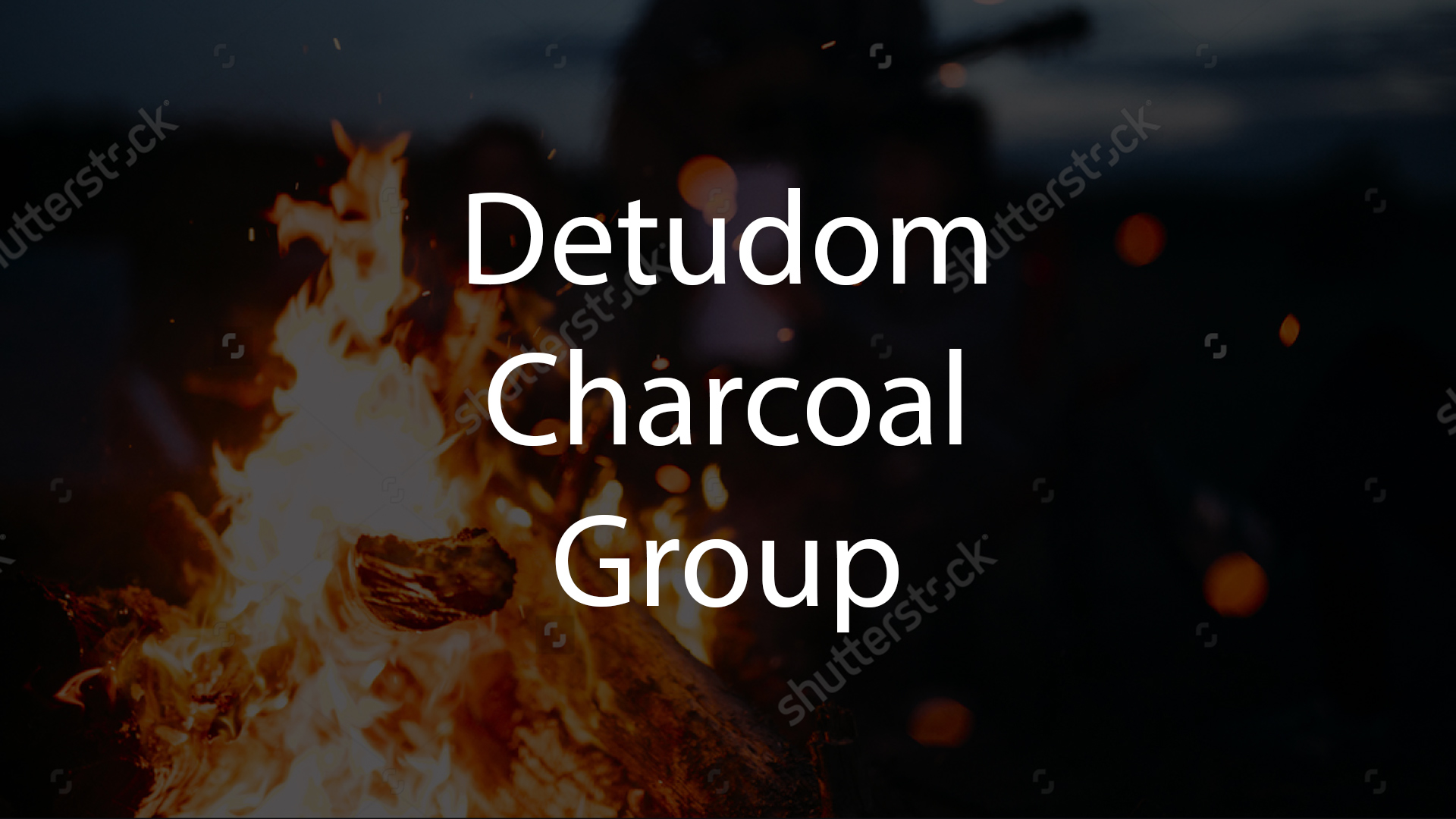 Detudom Charcoal Group